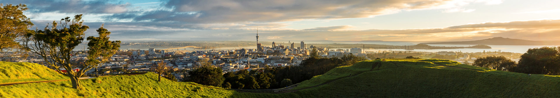 Your Local Auckland Property Managers: Nurturing Homes, Happy Landlords
